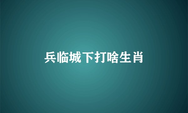 兵临城下打啥生肖