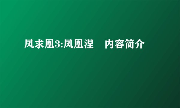 凤求凰3:凤凰涅槃内容简介