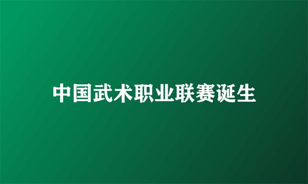 中国武术职业联赛诞生