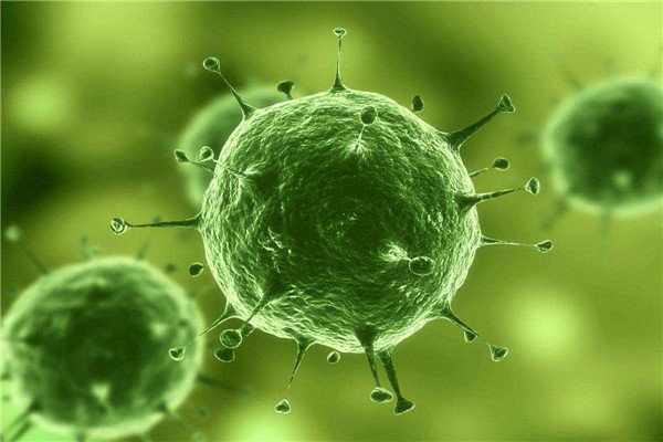 日本科学家进行的“人兽杂交胚胎”实验,究竟是何目的?