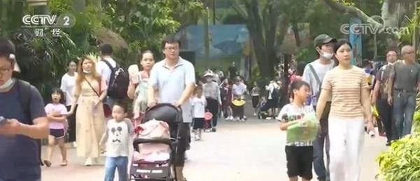 4口之家亲子游花费约2万 这是咋情况？