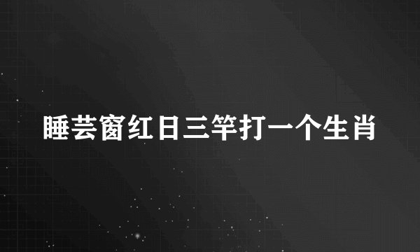 睡芸窗红日三竿打一个生肖