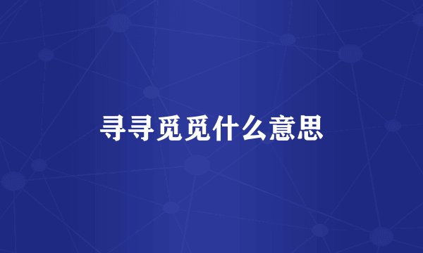 寻寻觅觅什么意思