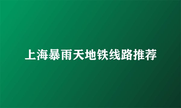 上海暴雨天地铁线路推荐