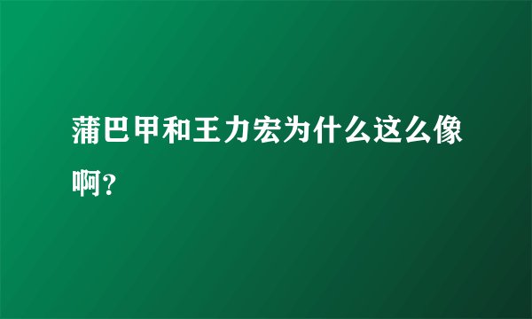 蒲巴甲和王力宏为什么这么像啊？