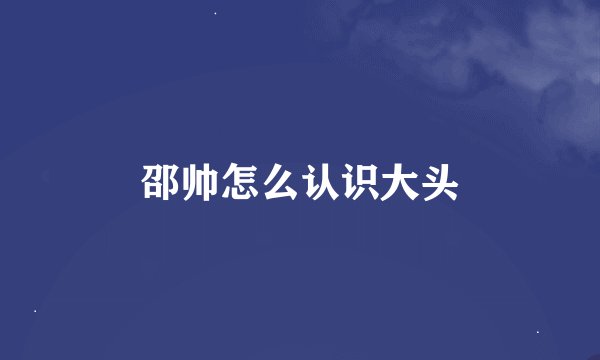 邵帅怎么认识大头