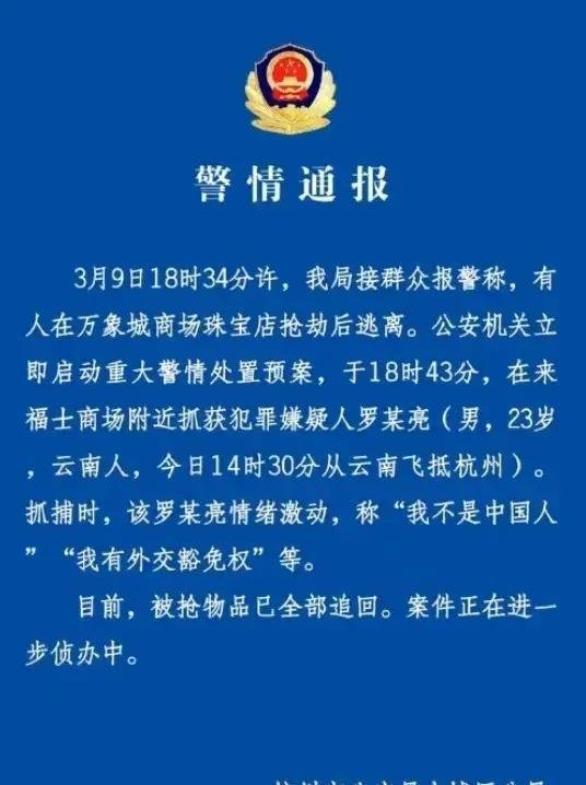 黄金打劫案后续：嫌疑人9分钟被抓捕，称有豁免权！或疑有精神病