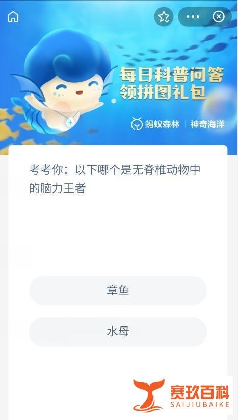 无脊椎动物中的脑力王者有哪些