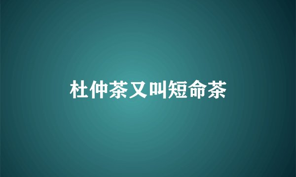 杜仲茶又叫短命茶