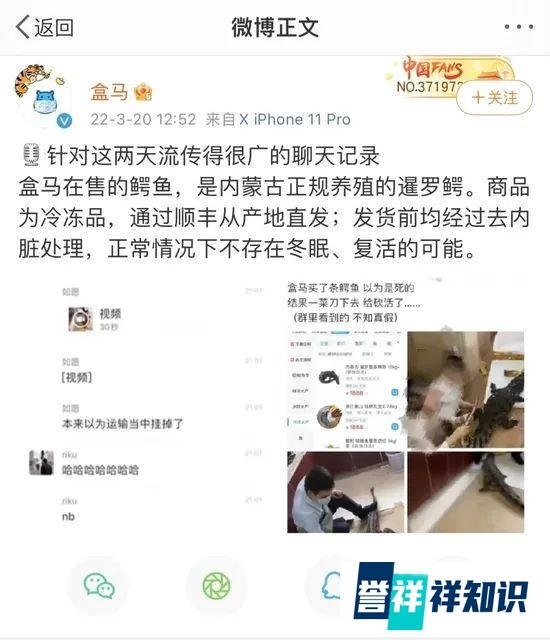 吓人！盒马网购鳄鱼被砍后复活了？官方回复很微妙：消费者的鳄鱼并非在盒马购买
