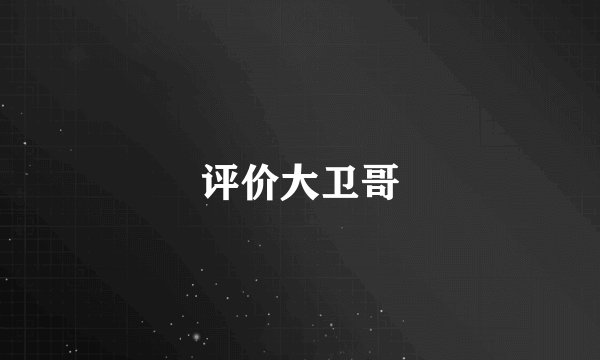 评价大卫哥