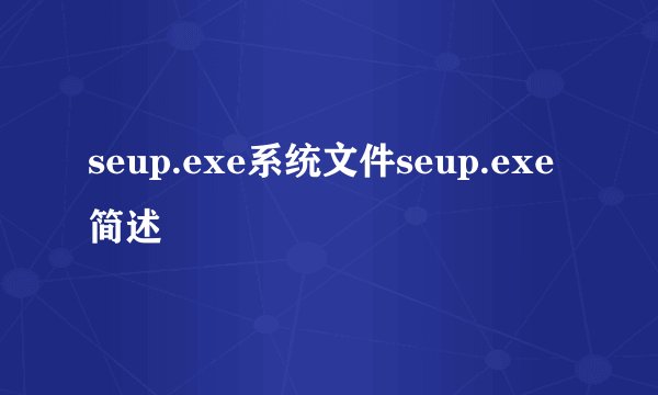 seup.exe系统文件seup.exe简述