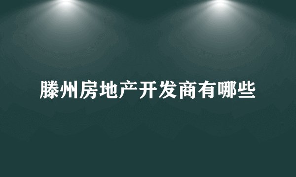 滕州房地产开发商有哪些