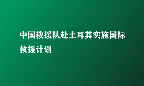 中国救援队赴土耳其实施国际救援计划