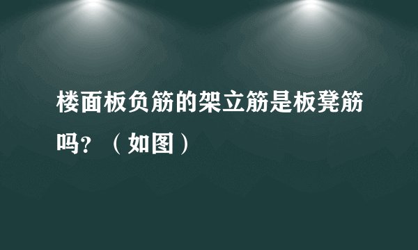 楼面板负筋的架立筋是板凳筋吗？（如图）