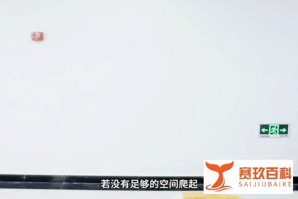 细思极恐!那些年我们一起看过的“丧尸电影”,其实早在7年前就曾经发生过......