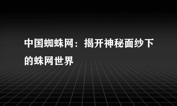 中国蜘蛛网：揭开神秘面纱下的蛛网世界