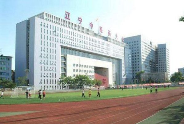 辽宁省招办电话？