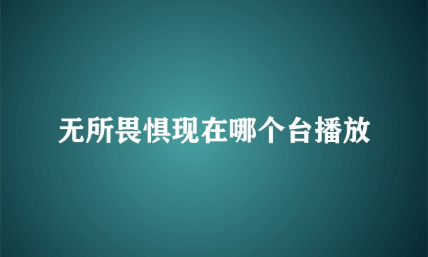 无所畏惧现在哪个台播放