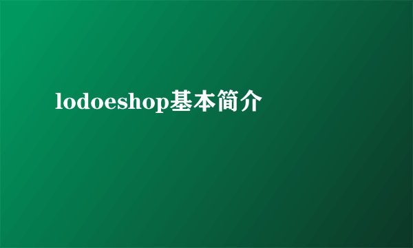 lodoeshop基本简介