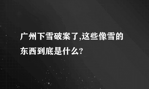 广州下雪破案了,这些像雪的东西到底是什么?