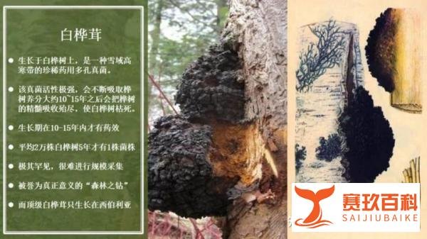 新型变异毒株“地狱犬”是否为真？疫情防范发生变化，这几点需要关注！（三）