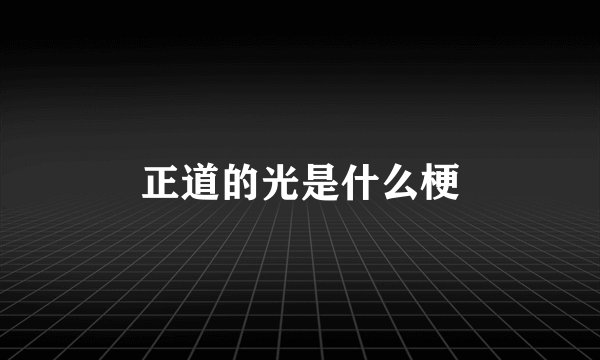 正道的光是什么梗