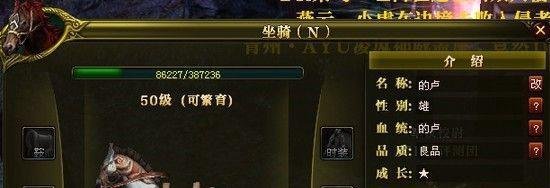 御龙在天繁育马技巧