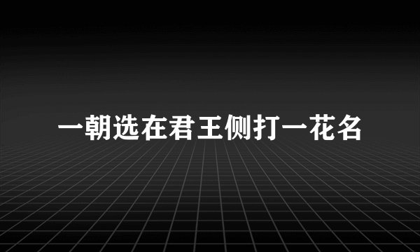 一朝选在君王侧打一花名