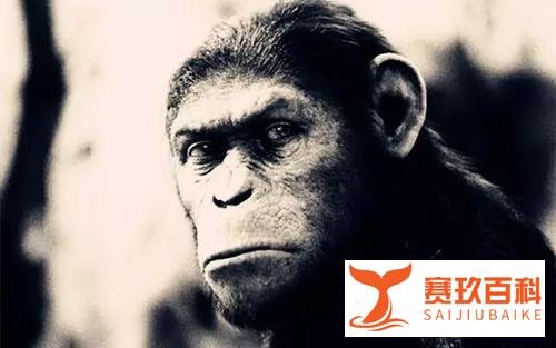 北大冯仁杰陷阱:生孩子 见父母 上床
