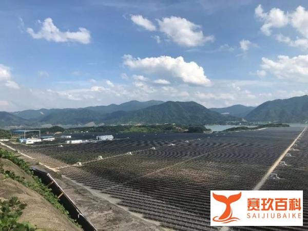 曾经的核电基地早已化身光伏蓝海，咸宁“内陆首核”还能否突破？