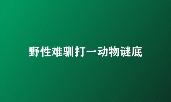 野性难驯打一动物谜底