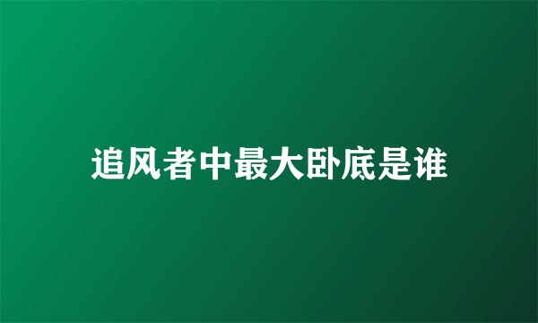 追风者中最大卧底是谁