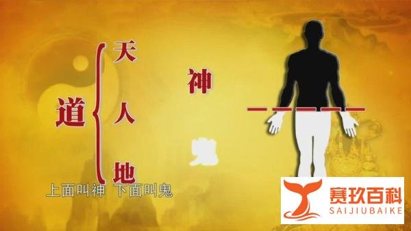 刀郎新歌《罗刹海市》在骂谁？被过度解读背后的扎心现实与人性真相是什么？