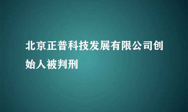 北京正普科技发展有限公司创始人被判刑