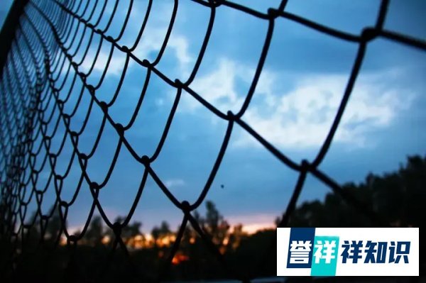 高蕾律师|12岁弑母少年:我只是杀了我妈!