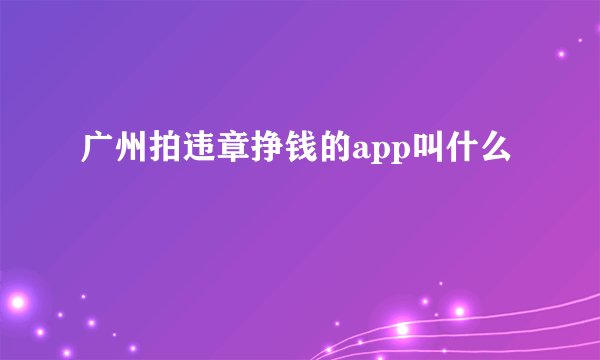 广州拍违章挣钱的app叫什么