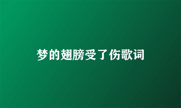 梦的翅膀受了伤歌词
