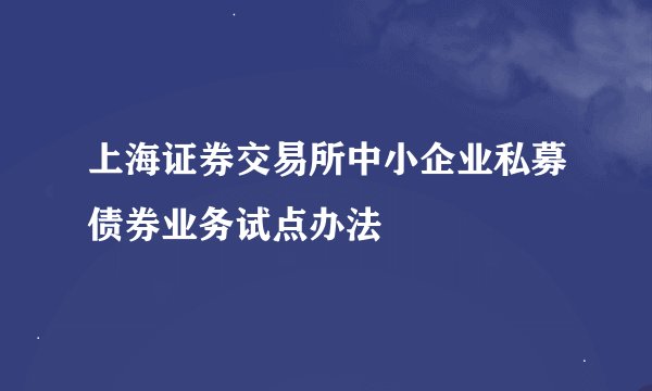 上海证券交易所中小企业私募债券业务试点办法