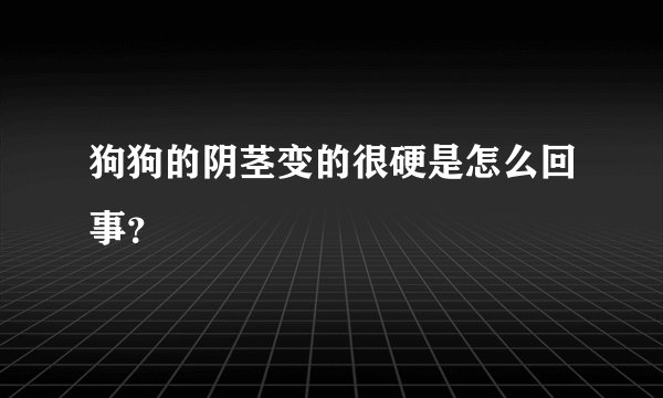 狗狗的阴茎变的很硬是怎么回事？