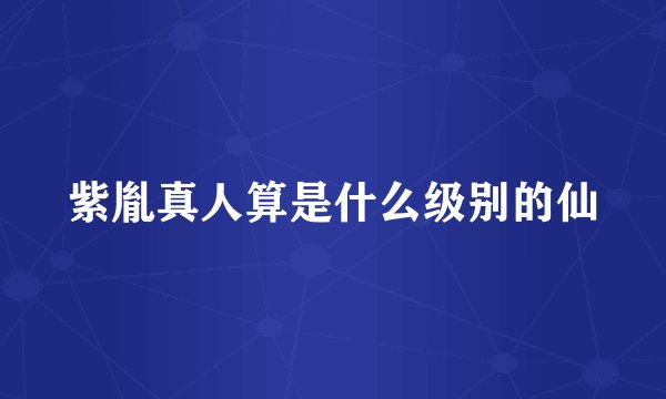 紫胤真人算是什么级别的仙