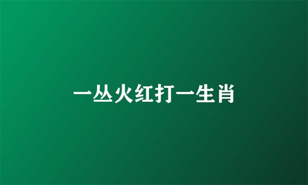 一丛火红打一生肖