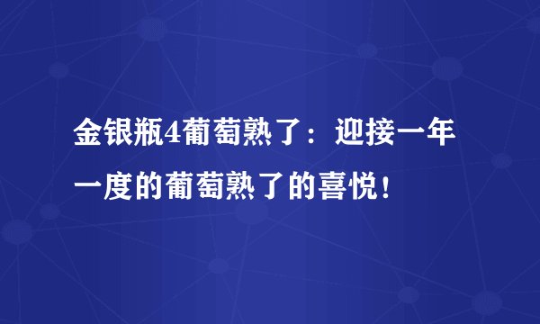金银瓶4葡萄熟了：迎接一年一度的葡萄熟了的喜悦！