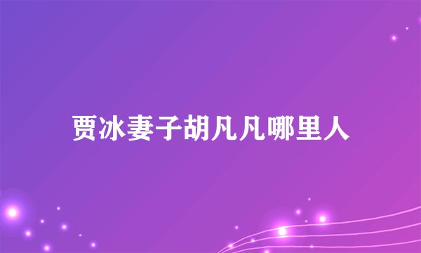 贾冰妻子胡凡凡哪里人