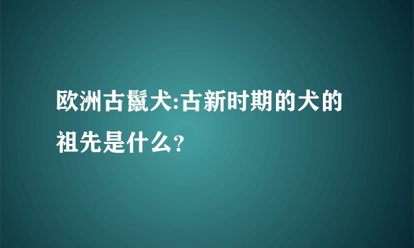 欧洲古鬣犬:古新时期的犬的祖先是什么？