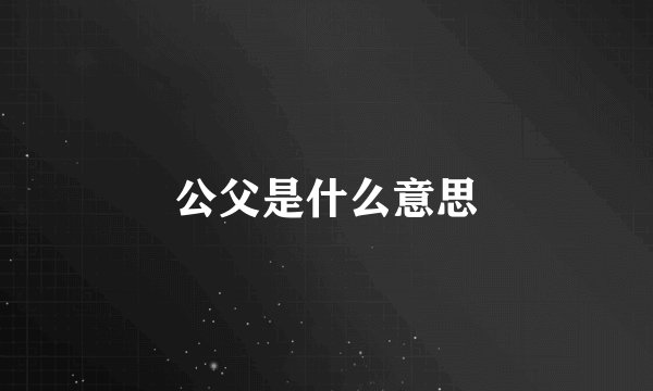 公父是什么意思