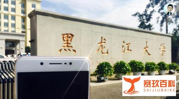 黑龙江大学食堂坐垫现多根细针，学校回应：衣服意外掉落的别针！