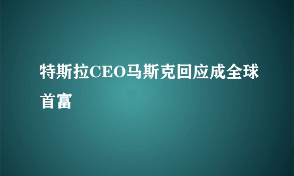 特斯拉CEO马斯克回应成全球首富