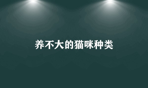 养不大的猫咪种类