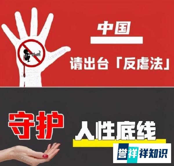 200多网友给虐猫者寄网购花圈，网店老板：一直劝退一直涨！